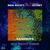 Stream & download Raindrops (Sub Sonik Remix) [feat. Stunt] - Single