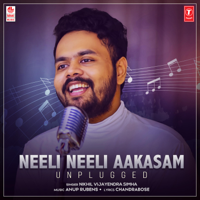 Nikhil Vijayendra Simha & Anup Rubens - Neeli Neeli Aakasam (Unplugged) - Single artwork