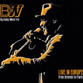 Live In Europe From Bremen To Paris artwork