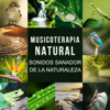 Musicoterapia Natural: Sonidos Sanador de la Naturaleza, Olas del Mar, Lluvia, Canto de los Pájaros, Ranas y Grillos - Academia de Música con Sonidos de la Naturaleza