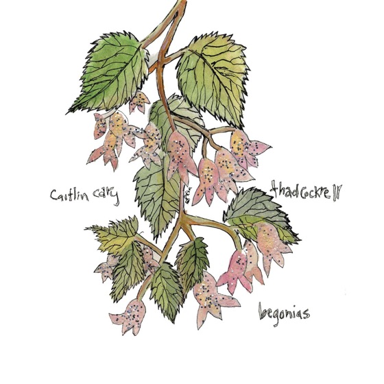 Cover artwork for Two Different Things
