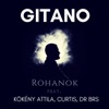 Rohanok (feat. Kökény Attila, Curtis & DR BRS) [Rohanok a szívem után] - Single