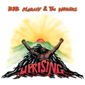 Bob Marley - Coming In From The Cold (Album Version)