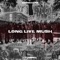 Long Live Mush (feat. Dimma) artwork
