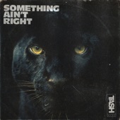 Tash Neal - Something Ain't Right