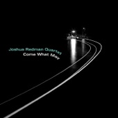 Joshua Redman Quartet - Vast