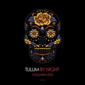 Tulum by Night, Vol. 1 (The Deep House Collection) artwork