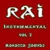 Rai Instrumental 2 - EP