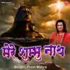 Mere Shambhu Nath - Single album lyrics, reviews, download