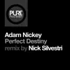 Stream & download Perfect Destiny (Nick Silvestri Remix) - Single