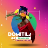 Domitila (feat. Ceeza Milli & Vector) artwork