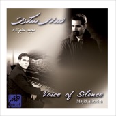 Voice of Silence artwork