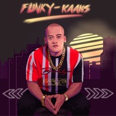 Funky-Kaans artwork