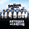 Antología de Caricias - Single