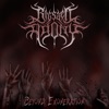 Beyond Exoneration - Single