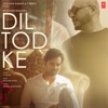 Dil Tod Ke - Single