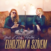 Elhoztam a szívem artwork