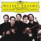 Mozart & Brahms: Clarinet Quintets artwork
