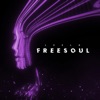 FREE SOUL - Single