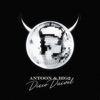 Disco Duivel by Antoon, Big2 iTunes Track 1