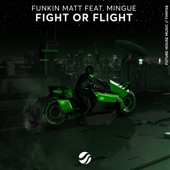 Fight or Flight (feat. Mingue) artwork