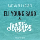 Saltwater Gospel (Fins Up Version) artwork