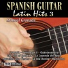 Spanish Guitar Latin Hits, Vol. 3