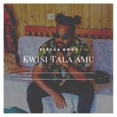 Kwisi Tala Amu (feat. Nasty) artwork
