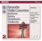Violin Concerto in E Minor, Op. 64: I. Allegro Molto Appassionato artwork