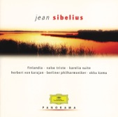 Berliner Philharmoniker & Claudio Abbado - Violin Concerto in D Minor, Op. 47: I. Allegro Moderato