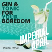 Gin And Tonic For Your Boredom (The Premix Remix) artwork