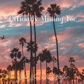 Officially Missing You (Remix) artwork