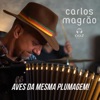 Aves da Mesma Plumagem! - Single