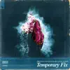 Temporary Fix - Single album lyrics, reviews, download