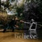 Believe artwork