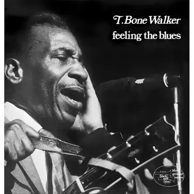 Feeling the Blues (Remaster) - T-Bone Walker