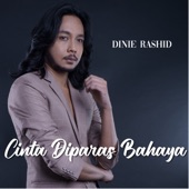 Cinta Diparas Bahaya artwork