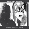 Shines Imperfection - EP