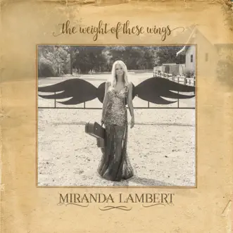 Vice by Miranda Lambert song reviws