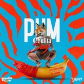 Pum Chulita Sexy (Una Loca en el Tubo) [feat. Dj Crazy] artwork