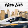 What Love (feat. Calboy) - Single album lyrics, reviews, download
