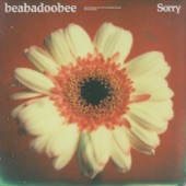 beabadoobee - Sorry (Alternate Edit)