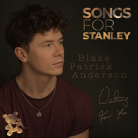 Blake Patrick Anderson - Waiting For You (Songs For Stanley) artwork