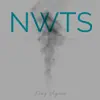 N W T S (Nothing Was the Same) - Single album lyrics, reviews, download