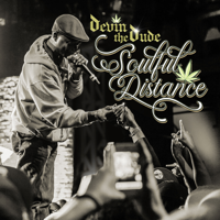 Devin the Dude - Soulful Distance artwork