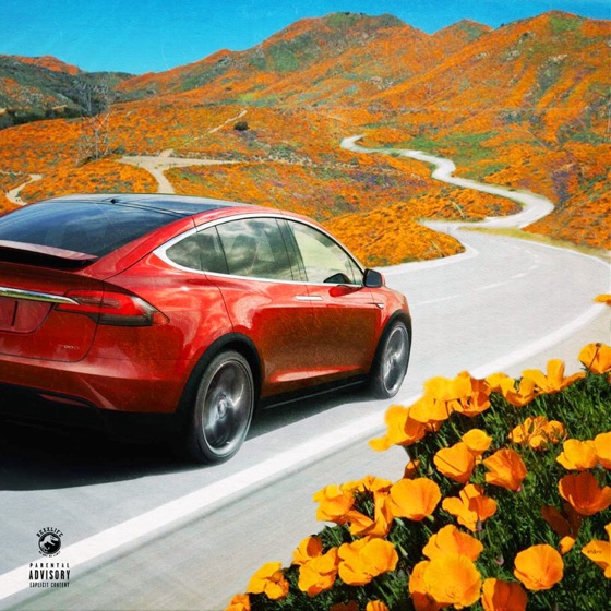 Cover artwork for Tesla In A Pandemic