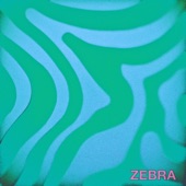 Zebra artwork