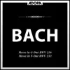 Stream & download Bach: Messe, BWV 236 - Messe, BWV 233