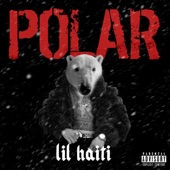 Polar artwork