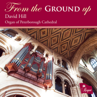 David Hill - From the Ground Up artwork